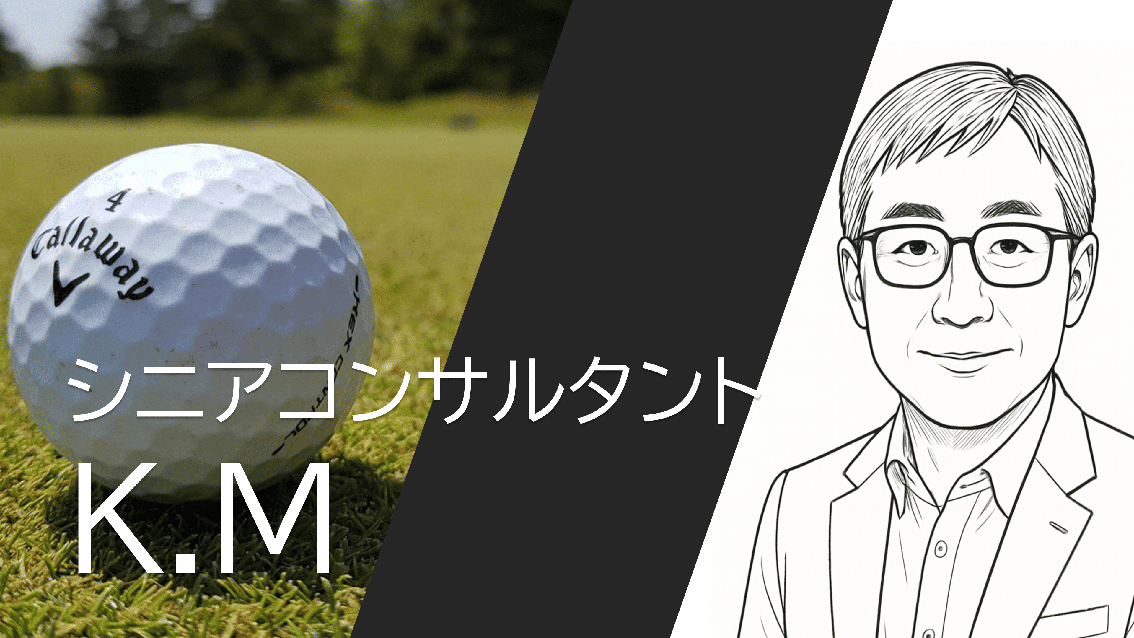 シニアコンサルタントK.K
