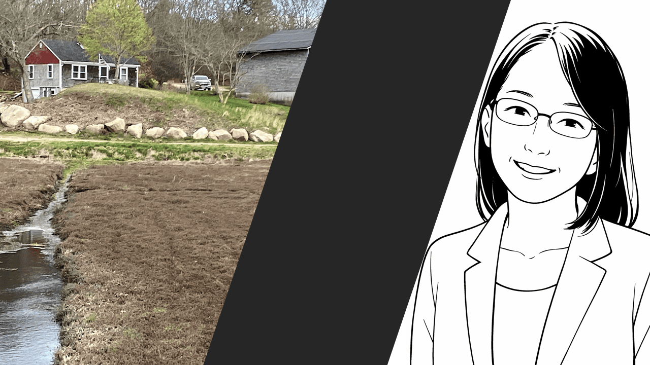 コンサルタント T.T